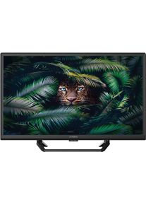 Strong LED-Fernseher "SRT 24HE4023C", Energieeffizienz: E, schwarz, 24 &Prime;, Fernseher, Video-Streaming: Netflix, Youtube, Amazon Prime Video, Disney+, LED-Fernseher