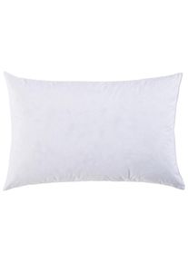 Sleeptex F&uuml;llkissen, Wei&szlig;, Textil, F&uuml;llung: Federn, 40x60 cm, Textiles Vertrauen - Oeko-Tex&reg;, Heimtextilien, Kopfpolster & Bettdecken, Kopfkissen, Kissenf&uuml;llungen & Innenkissen
