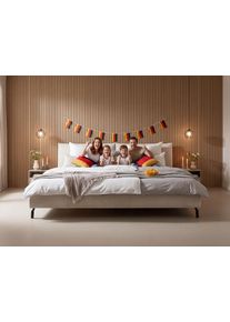 Polsterbett Home Affaire "Fionara, Familienbett, extrabreite Liegefl&auml;che 240cm, in 2 L&auml;ngen", beige (nature), B:268cm H:82cm L:235cm, 100% Polyester, Betten, Polsterbett, inkl. 7-fache Einlegetiefenverstellung & saugroboterfreundliche H&ouml;he
