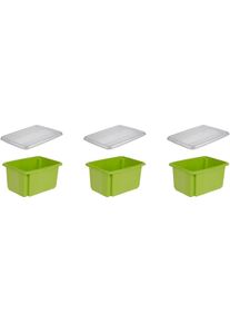 Organizer keeeper "emil", gr&uuml;n, B:28,5cm H:20,5cm T:38cm, Polypropylen, Aufbewahrungsboxen, Organizer, Aufbewahrungsbox, 15 L, mit Deckel, hochwertiger Kunststoff