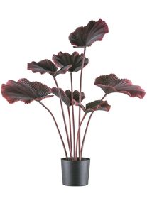 Kunstpalme Creativ green "Strahlenpalme", rot (dunkelrot), H:100cm, Kunststoff, Kunstpflanzen, Kunstpalme, in trendiger Farbgebung