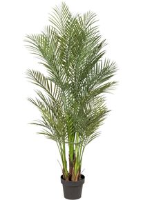 Kunstpalme Creativ green "Arecapalme", gr&uuml;n, H:160cm, Kunststoff, Kunstpflanzen, Kunstpalme