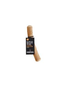 Canophera - coffee tree 18-22cm S - (CANO0123)