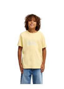 T-Shirt Quiksilver "Ev Comp Logo", Jungen, Gr. 8, gelb (straw), Obermaterial: 100% Baumwolle., Shirts T-Shirt