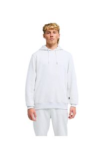 Sweatshirt Billabong "Arch Po", Herren, Gr. S, light grau heather, Obermaterial: 55% Baumwolle, 25% Baumwolle, 20% Polyester., Sweatshirts Sweatshirt