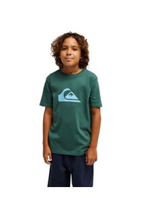 T-Shirt Quiksilver "Ev Comp Logo", Jungen, Gr. 8, gr&uuml;n (forest), Obermaterial: 100% Baumwolle., Shirts T-Shirt