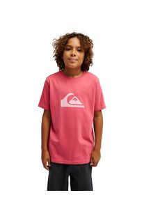 T-Shirt Quiksilver "Ev Comp Logo", Jungen, Gr. 14, pink (slate rose), Obermaterial: 100% Baumwolle., Shirts T-Shirt