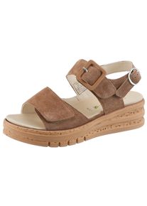 Waldl&auml;ufer Plateausandaletten WALDL&Auml;UFER "K-ARLENE", Damen, Gr. 3,5 (36), nussbraun, Veloursleder, unifarben, Schuhe Plateausandaletten, Sommerschuh, Klettsandale in Extraweite K f&uuml;r den kr&auml;ftigen Fu&szlig;