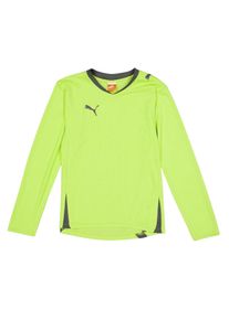 Puma Kinderen Pwr C 5.10 Logo Langsleeve T-shirt (Groen)