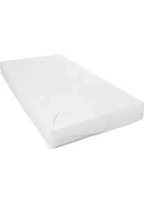 Bettlaken Primera "HANS der Frische", wei&szlig;, B:150cm L:200cm, Baumwoll-Jersey, Obermaterial: 100% Baumwolle, Bettlaken, Bettlaken, hygienefinish, saugt Mikroben wie Pilze und Schimmel auf