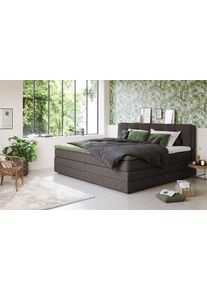 Boxspringbett COTTA "Fort II, in verschiedenen Breiten erh&auml;ltlich - auch als Familienbett", braun (charcoal), B:241cm L:215cm, 100% POLYESTER (PES), Komplettbetten, Boxspringbett, inkl. Bettkasten und Topper