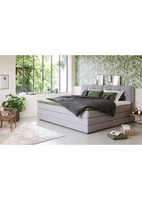 Boxspringbett COTTA "Fort II, in verschiedenen Breiten erh&auml;ltlich - auch als Familienbett", grau (light grau), B:241cm L:215cm, 100% POLYESTER (PES), Komplettbetten, Boxspringbett, inkl. Bettkasten und Topper