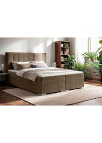 Boxbett Home Affaire "GALLIPOL mit Bettk&auml;sten, Matratze und Topper, Breite 140/160/180/200cm", beige, B:163cm L:209cm, Hartfaserplatte, Holz teilmassiv, Massivholz, Spanplatte, Komplettbetten, Boxbett, Stauraumbett mit Bonnell- oder Taschenfederkernmatratze (H2, H3)