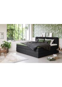 Boxspringbett COTTA "Fort II, in verschiedenen Breiten erh&auml;ltlich - auch als Familienbett", schwarz, B:241cm L:215cm, 100% POLYESTER (PES), Komplettbetten, Boxspringbett, inkl. Bettkasten und Topper