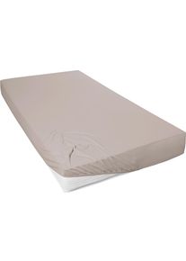 Bettlaken Primera "HANS der Frische", kiesel, B:190cm L:200cm, Baumwoll-Jersey, Obermaterial: 100% Baumwolle, Bettlaken, Bettlaken, hygienefinish, saugt Mikroben wie Pilze und Schimmel auf
