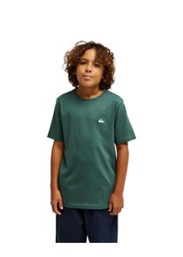 T-Shirt Quiksilver "Basic", Jungen, Gr. 16, forest, Obermaterial: 100% Baumwolle., Shirts T-Shirt