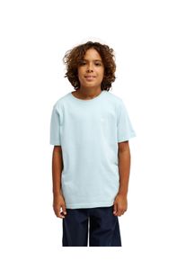 T-Shirt Quiksilver "Basic", Jungen, Gr. 14, sterling blau, Obermaterial: 100% Baumwolle., Shirts T-Shirt