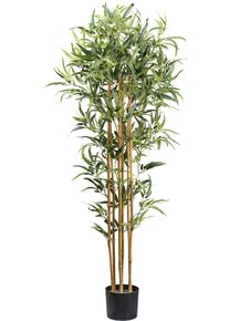 Kunstbaum Creativ green "Bambus", gr&uuml;n, H:155cm, Kunstpflanzen, Kunstbaum, mit echten Bambusst&auml;ben