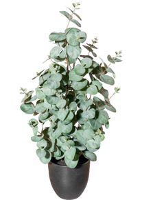 K&uuml;nstliche Zimmerpflanze Creativ green "Eukalyptus", gr&uuml;n, H:60cm &Oslash;:20cm, Polyester, Kunstpflanzen, K&uuml;nstliche Zimmerpflanze