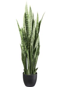 K&uuml;nstliche Zimmerpflanze Creativ green "Sanseveria", gr&uuml;n, H:11cm &Oslash;:50cm, Kunstpflanzen, K&uuml;nstliche Zimmerpflanze, mit detailgetreuen Bl&auml;ttern