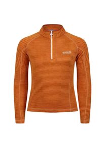 Regatta Streep Regular Raglan Sweatshirt voor kinderen/Kinderen (Oranje peper)