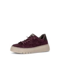 Slip-On Sneaker Gabor, Damen, Gr. 39, dunkelrot, Veloursleder, Schuhe Slip-On Sneaker, Freizeitschuh, Halbschuh, Slipper mit gl&auml;nzendem Schmuckelement