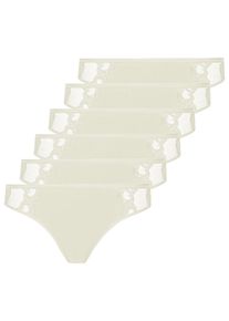 Minislip Nina von C. "6er Pack Minislip Slipboutique", Damen, Gr. 38, champagner, Obermaterial: 93% Baumwolle CO. 7% Elasthan EL., Unterhosen Minislip