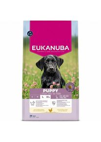 eukanuba Premium Nutrition Puppy Large & Giant Breed Chicken - dry dog food - 18kg