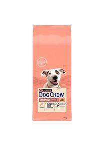 PURINA NESTLE DOG CHOW Sensitive Adult 14 kg Salmon