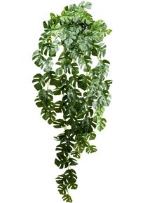 K&uuml;nstliche Zimmerpflanze Creativ green "Splitphilodendron-H&auml;ngepflanze", wei&szlig;, H:95cm, Kunstpflanzen, K&uuml;nstliche Zimmerpflanze, mit zahlreichen Bl&auml;ttern