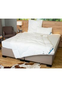 Microfaserbettdecke Beco "Beco Medibett MF50 Made in Green 135x200 cm und weitere Gr&ouml;&szlig;en", wei&szlig; (wei&szlig;, neutral), B:135cm L:200cm, Bezug: 100% Baumwolle. F&uuml;llung: 100% Polyester, Bettdecken, Microfaserbettdecke, Made in EU, allergiker geeignet (Hausstauballergiker)