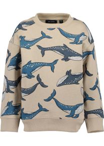 Sweatshirt Blue Seven, Jungen, Gr. 122, kiesel aop, Sweatware, Obermaterial: 100% Baumwolle, regular fit normal, Rundhals, Rippb&uuml;ndchen, Sweatshirts Sweatshirt