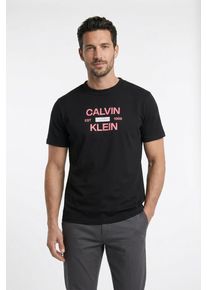 T-Shirt Calvin Klein Jeans "CALVINKLEIN STACK GRAP", Herren, Gr. L, schwarz, Web, Obermaterial: 100% Baumwolle, unifarben, regular fit normal, Rundhals, eingesetzt abgesteppte Kante, Shirts T-Shirt, Regular fit mit Print