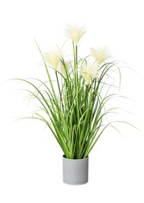 Kunstgras OTTO HOME "Riedgras", gr&uuml;n, H:66cm &Oslash;:15cm, Kunststoff, Kunstpflanzen, Kunstgras, im grauen Kunststofftopf