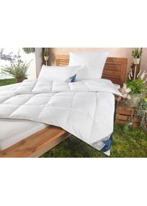 H&auml;ussling Daunenbettdecke HAEUSSLING "GR&Ouml;NLAND Made in Green", wei&szlig;, B:220cm L:240cm, Bezug: 100% Baumwolle. F&uuml;llung: 90% Entendaune, 10% Entenfeder, Bettdecken, Daunenbettdecke, hochwertiges Daunenprodukt" Made in Green" zertifiziert