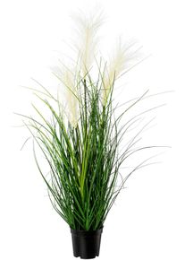 Kunstgras Creativ green "Pampasgras", gr&uuml;n (gr&uuml;n, creme), H:76cm &Oslash;:20cm, Kunststoff, Kunstpflanzen, Kunstgras