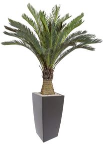 Kunstpalme Creativ green "Cycaspalme", gr&uuml;n, H:130cm, Kunststoff, Kunstpflanzen, Kunstpalme, im Kunststofftopf