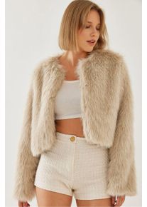 Boxy Crop Nepvachtjas