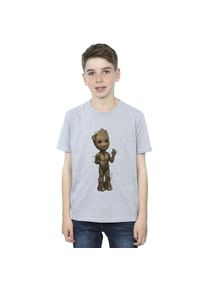 Marvel Jongens Ik Ben Groot Golf Positie T-Shirt (Sportgrijs)