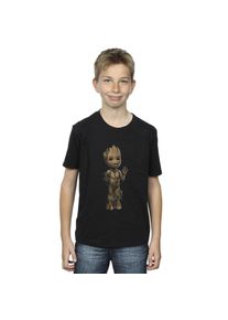 Marvel Jongens Ik Ben Groot Golf Positie T-Shirt (Zwart)