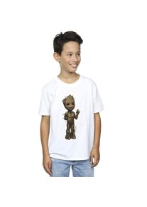 Marvel Jongens Ik Ben Groot Golf Positie T-Shirt (Wit)
