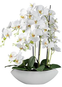 Kunstorchidee Creativ green "Orchidee Phalaenopsis", wei&szlig;, H:63cm, Kunstpflanzen, Kunstorchidee, mit real-touch-Bl&uuml;ten