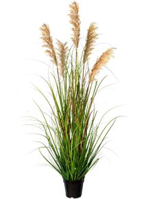 Kunstgras OTTO HOME "Grasbusch Rispenhirse", gr&uuml;n, H:122cm &Oslash;:35cm, Kunststoff, Kunstpflanzen, Kunstgras