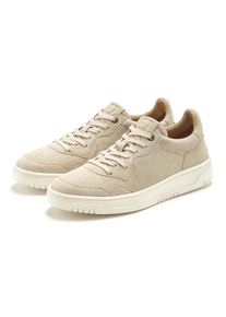 Sneaker ELBSAND "Halbschuh, Schn&uuml;rschuh, Turnschuh, Lederschuh, Ledersneaker", Damen, Gr. 46, beige, Obermaterial: 100% Ziegenleder. Decksohle: 100% Textilmaterial. Futter: 100% Textilmaterial. Laufsohle: 100% Synthetik, unifarben, Basic, Schuhe Sneaker, NEU Freizeitschuh, Schn&uuml;rhalbschuh aus weichem Leder, Unisex