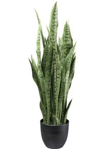 K&uuml;nstliche Zimmerpflanze Creativ green "Sanseveria", gr&uuml;n, H:110cm, Kunstpflanzen, K&uuml;nstliche Zimmerpflanze, mit detailgetreuen Bl&auml;ttern