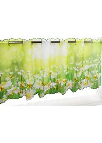 Scheibengardine Delindo Lifestyle "Margeriten" Gr. 1, gr&uuml;n, B:115cm H:45cm, Voile, Polyester, Gardinen, Scheibengardine, zwei Gr&ouml;&szlig;en