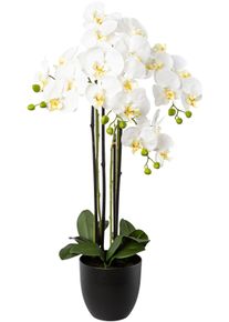 Kunstorchidee Creativ green "Phalaenopsis im Resintopf", wei&szlig;, H:83cm, Obermaterial: 100% Polyethylen, Kunstpflanzen, Kunstorchidee, mit Real-Touch-Bl&uuml;ten