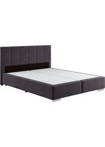 Boxspringbett COTTA "Simba in verschiedenen Farben und Breiten erh&auml;ltlich, ohne Matratze", grau (anthrazit), L:209cm, Komplettbetten, Boxspringbett, im Bezugsstoff: Karo