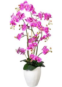 Kunstorchidee Creativ green "Deko-Orchidee Phalaenopsis XL im Keramiktopf", lila, B:50cm H:110cm L:40cm, Obermaterial: 100% Polyethylen, Kunstpflanzen, Kunstorchidee