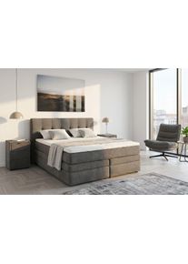 Jockenh&ouml;fer Boxspringbett JOCKENH&Ouml;FER GRUPPE "Amy", grau 426, 09, L:217cm, Bezug Bett: Cordstoff (100% Polyester);Topper und Matratzenspiegel: 100% Polyester, Komplettbetten, Boxspringbett, mit Bettkasten & Kaltschaum-Topper, erh&auml;ltlich in 120, 140,180 & 200cm